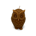 Medium Owl