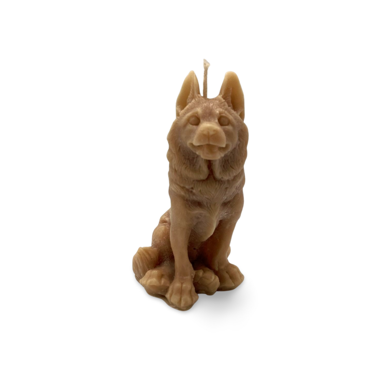 Bruno the Dog Candle