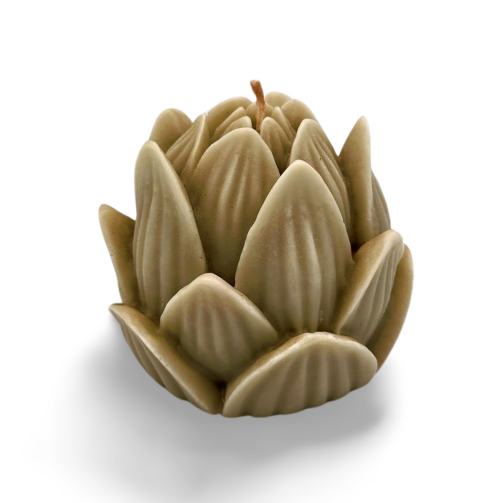 Large Lotus