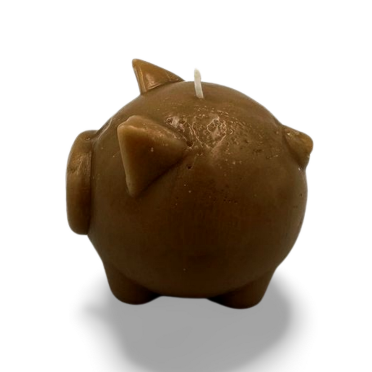 Piggy