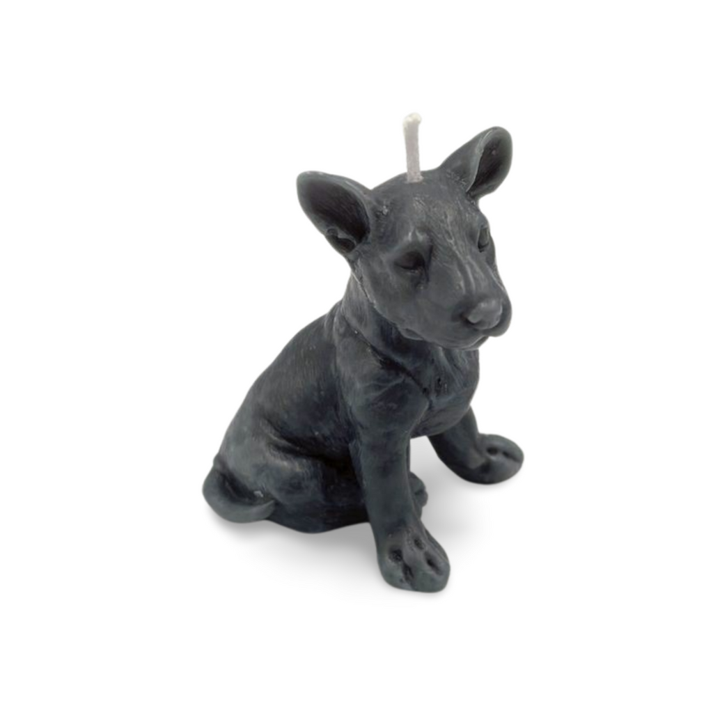 Bliksem the Dog