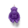 Space Monkey