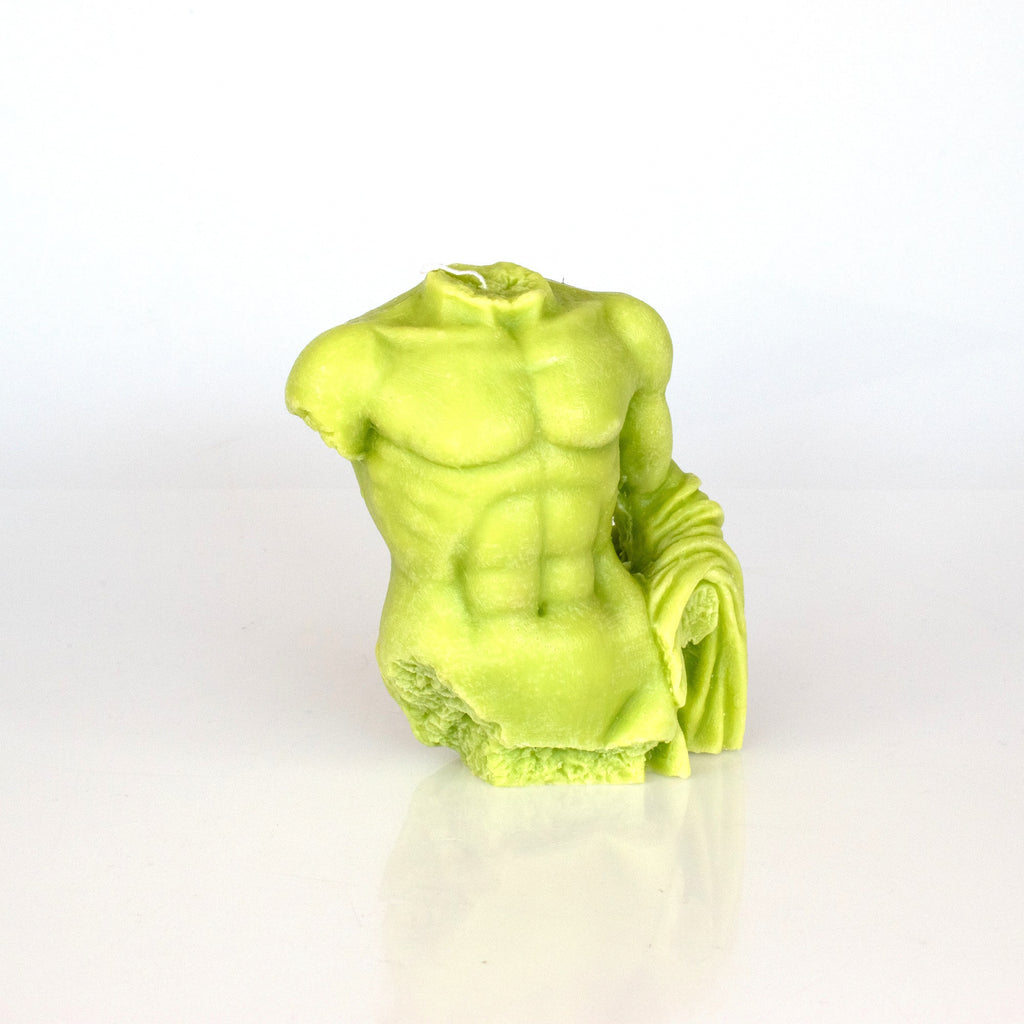 Male Torso