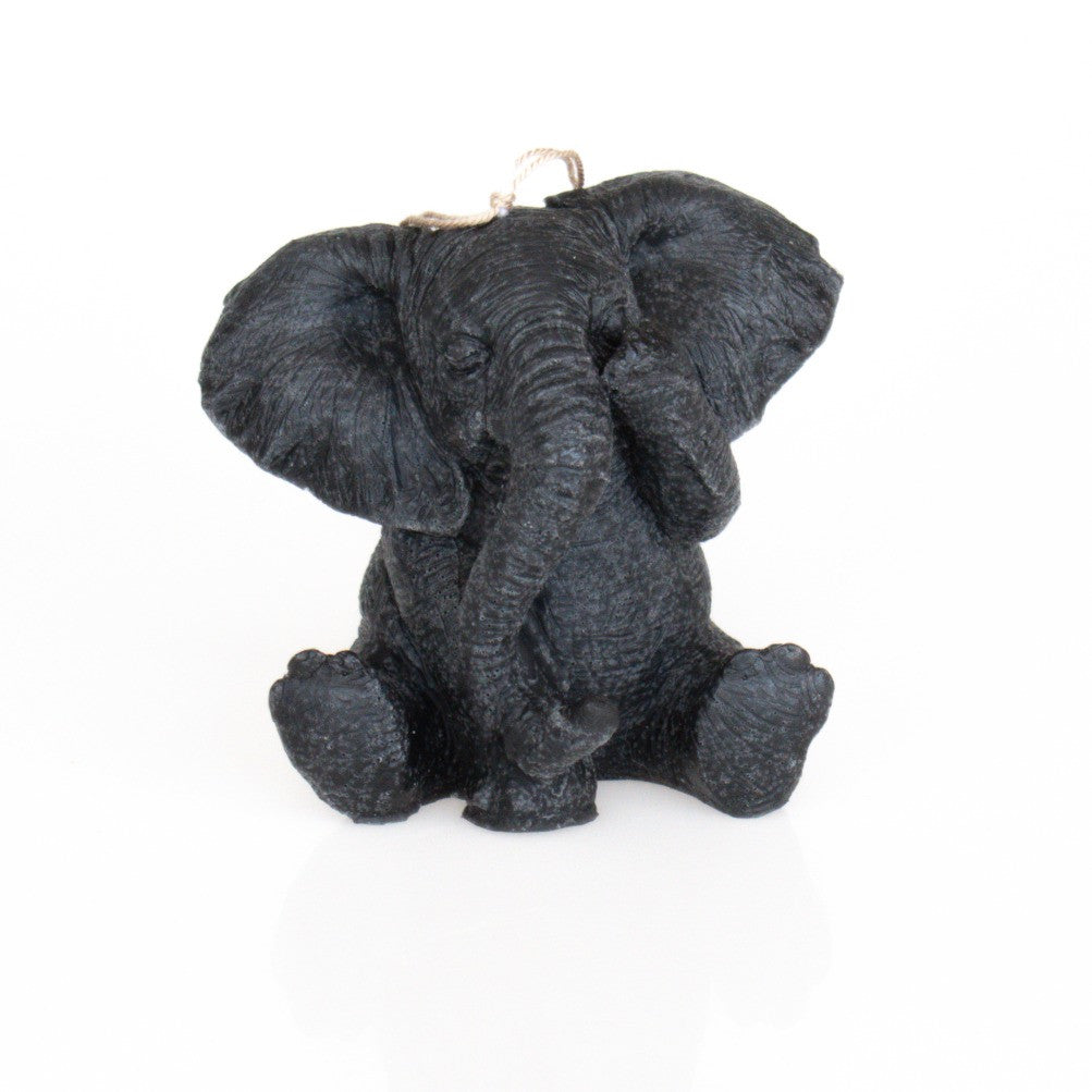 See no Evil Elephant