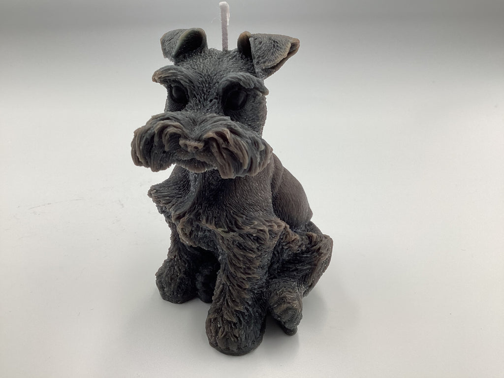 Schnauzer