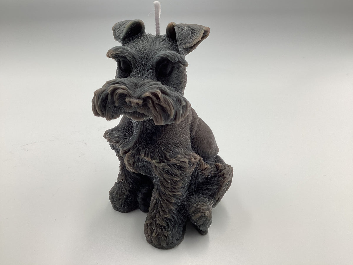 Schnauzer