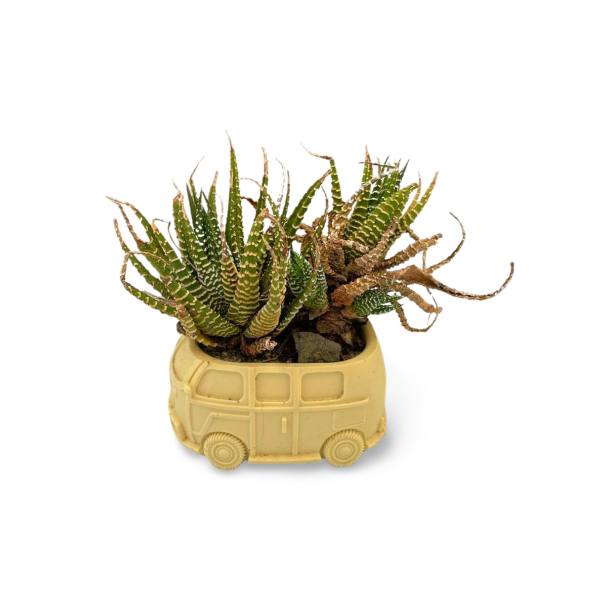 Resin Kombi Candle/Plant Holder