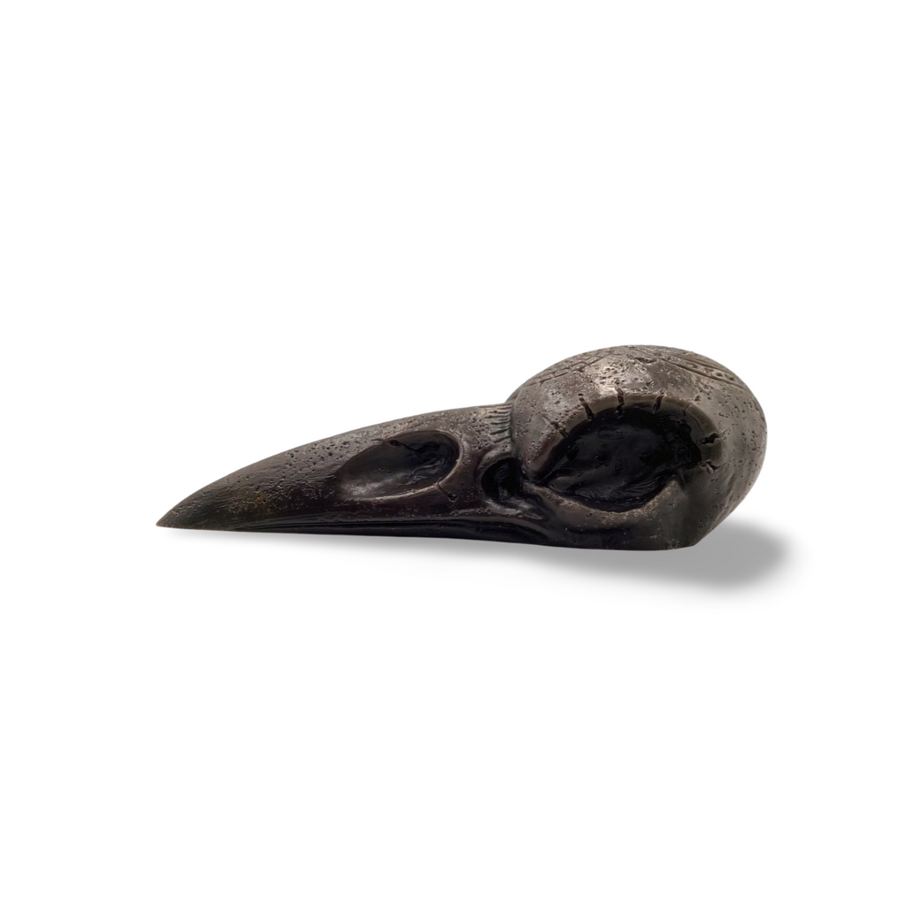 Crow Skull