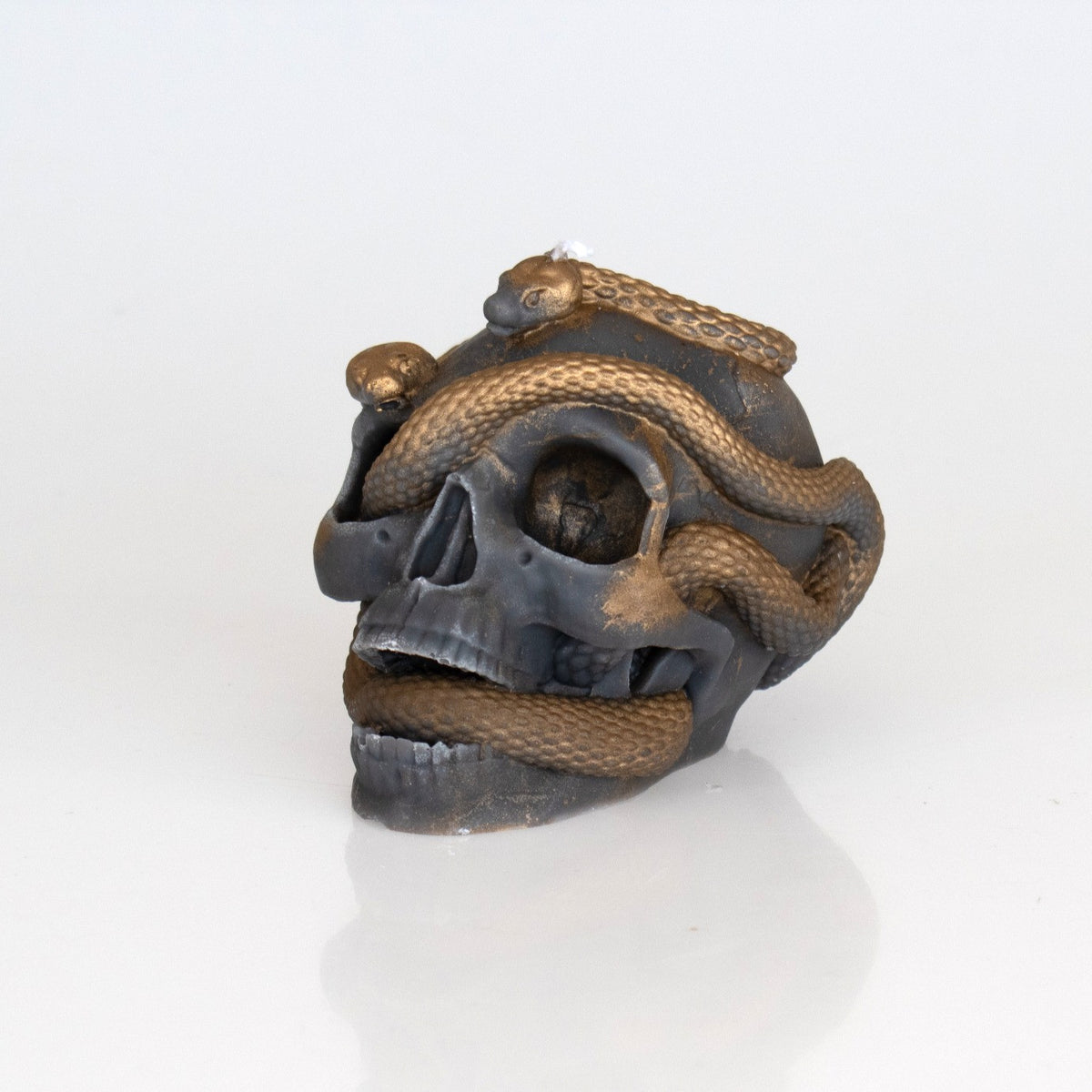 Snake Skull