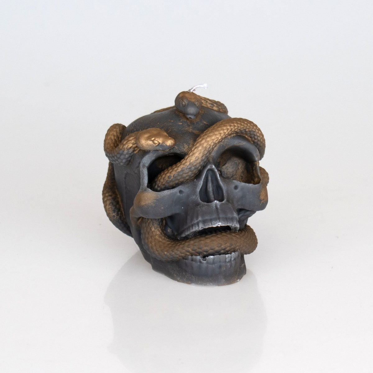 Snake Skull