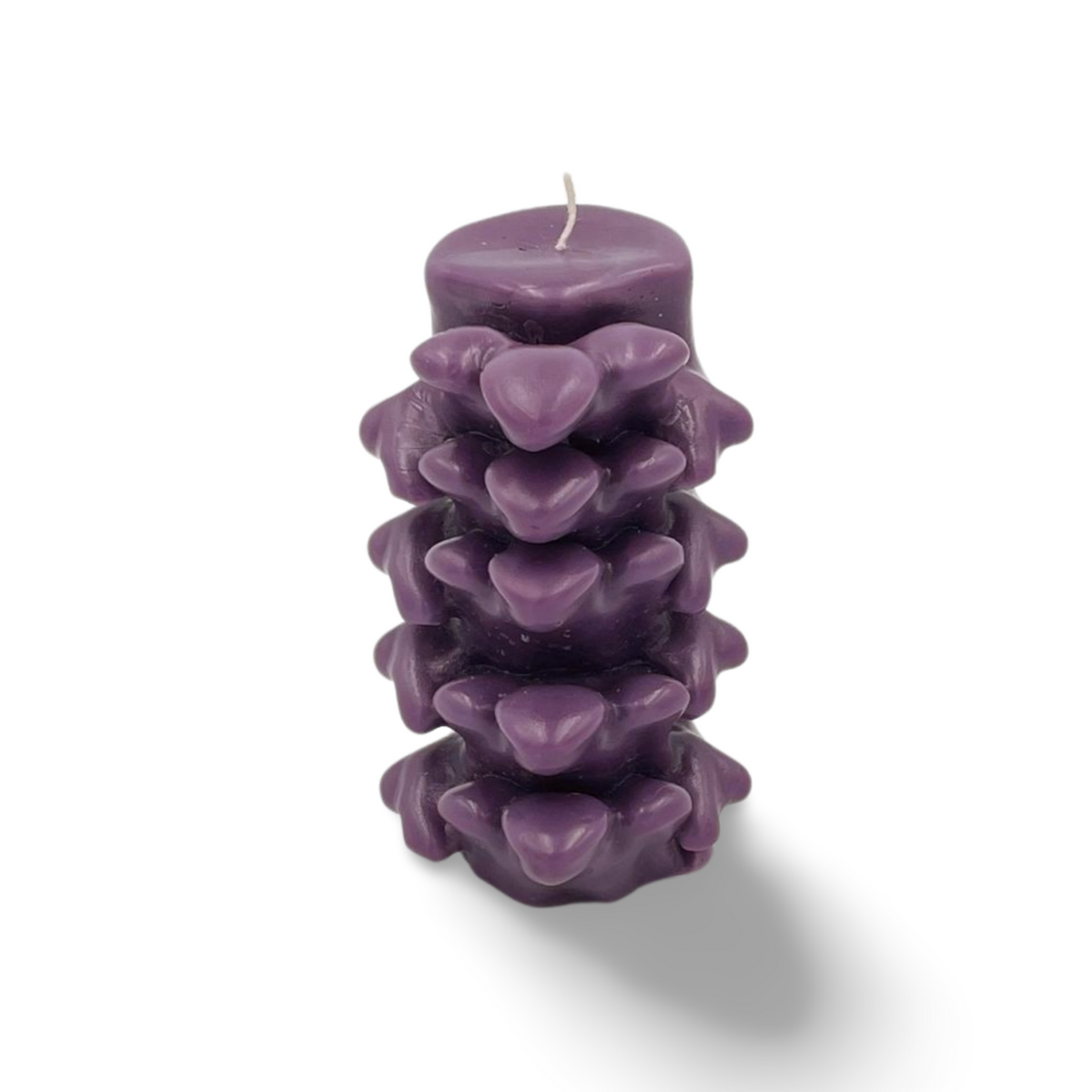 Spinal Cord Candle