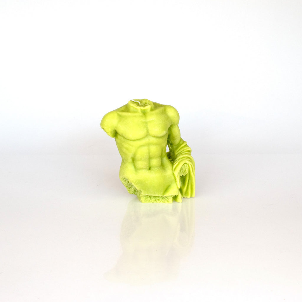 Male Torso