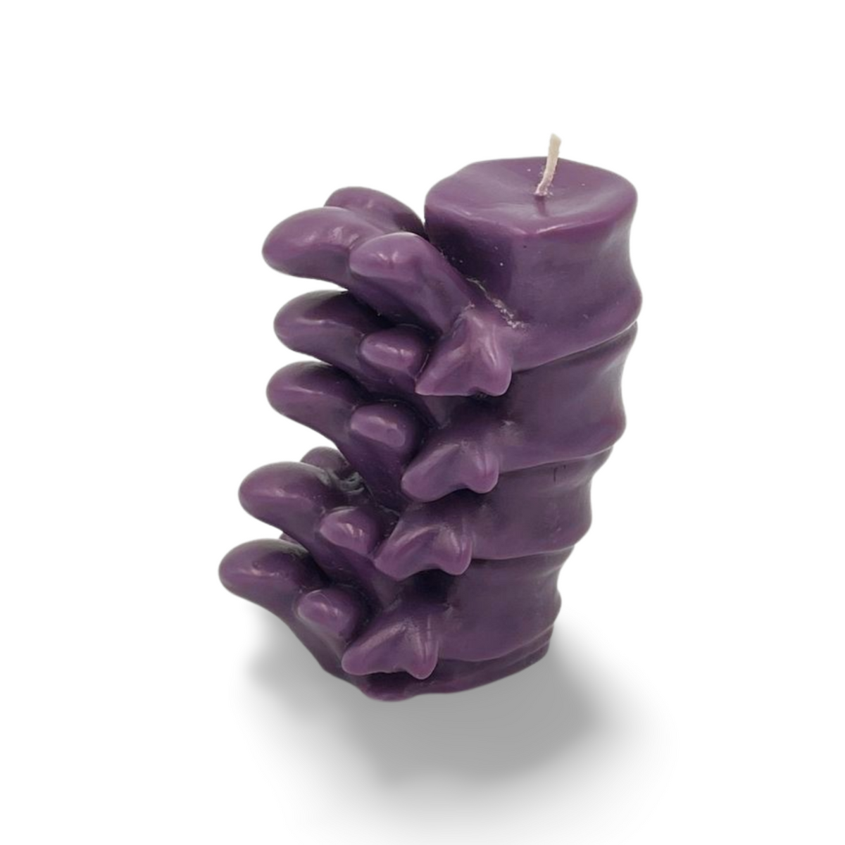 Spinal Cord Candle