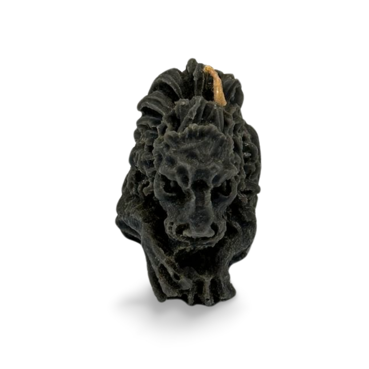Small Lion