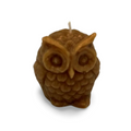 Small Owl