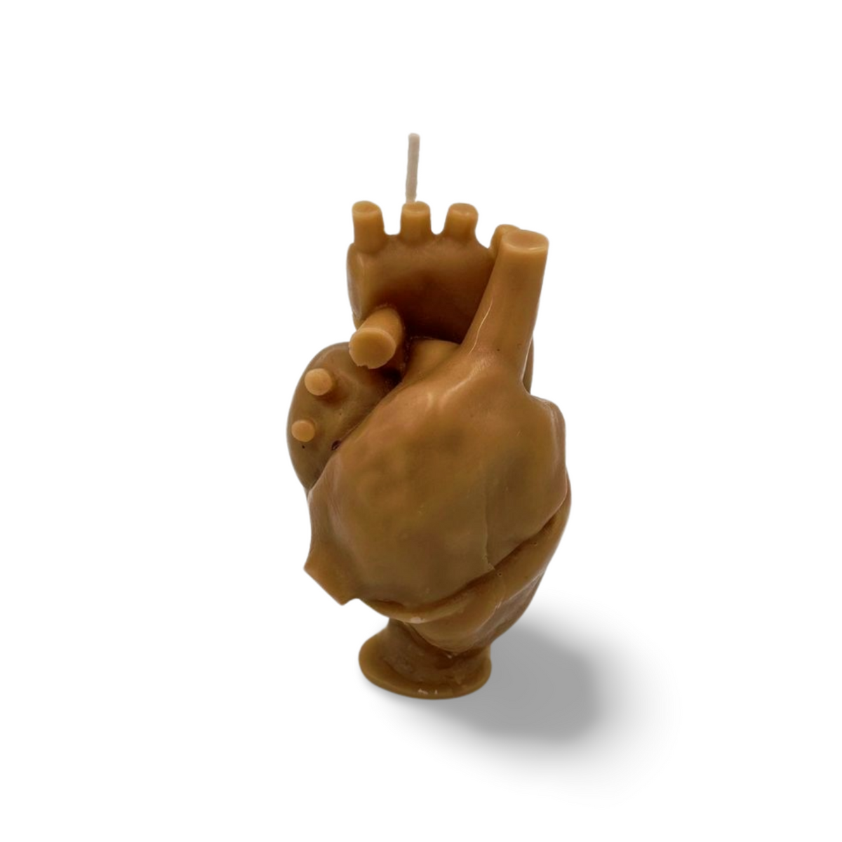Large Heart