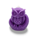 Owl and Moon