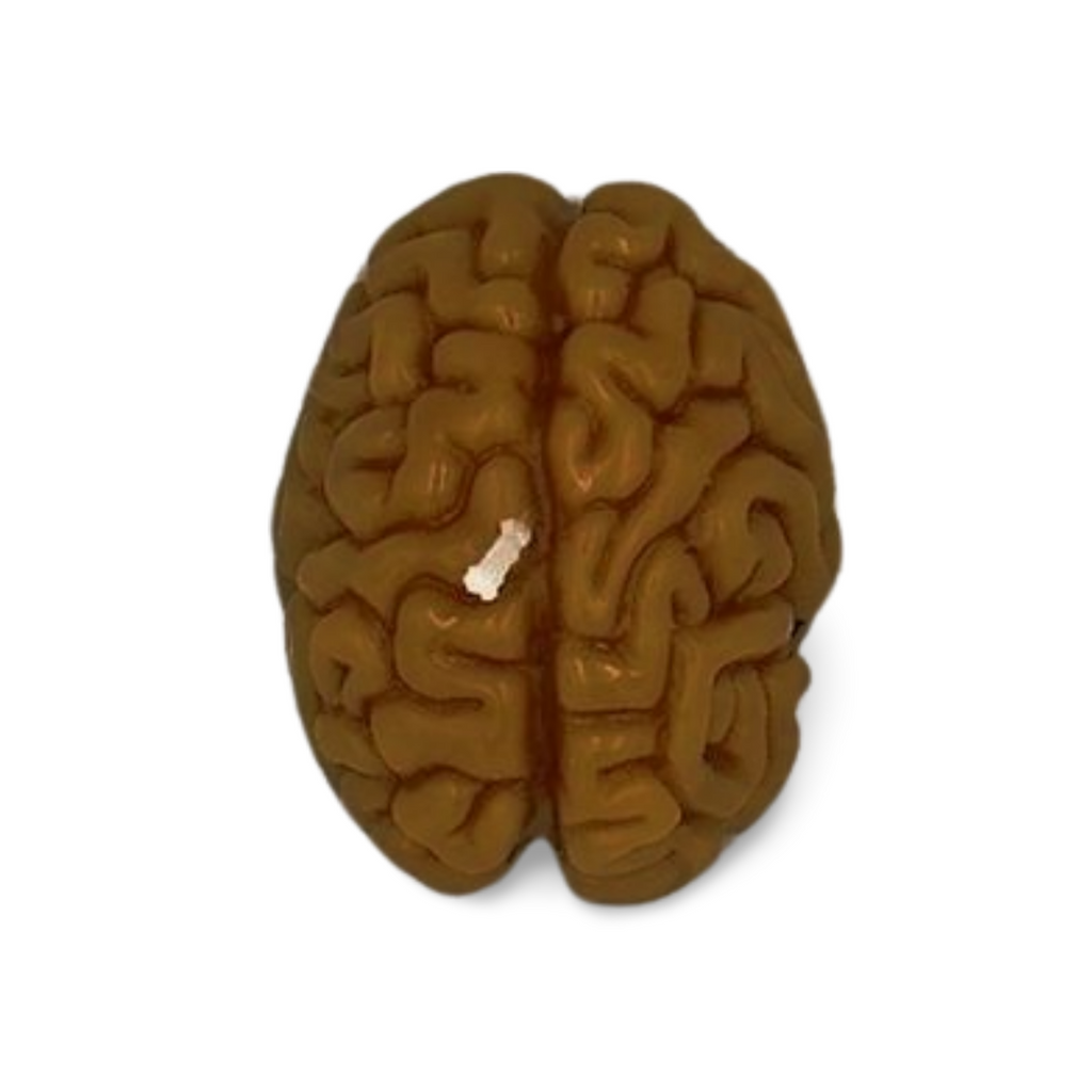 Small Brain Candle