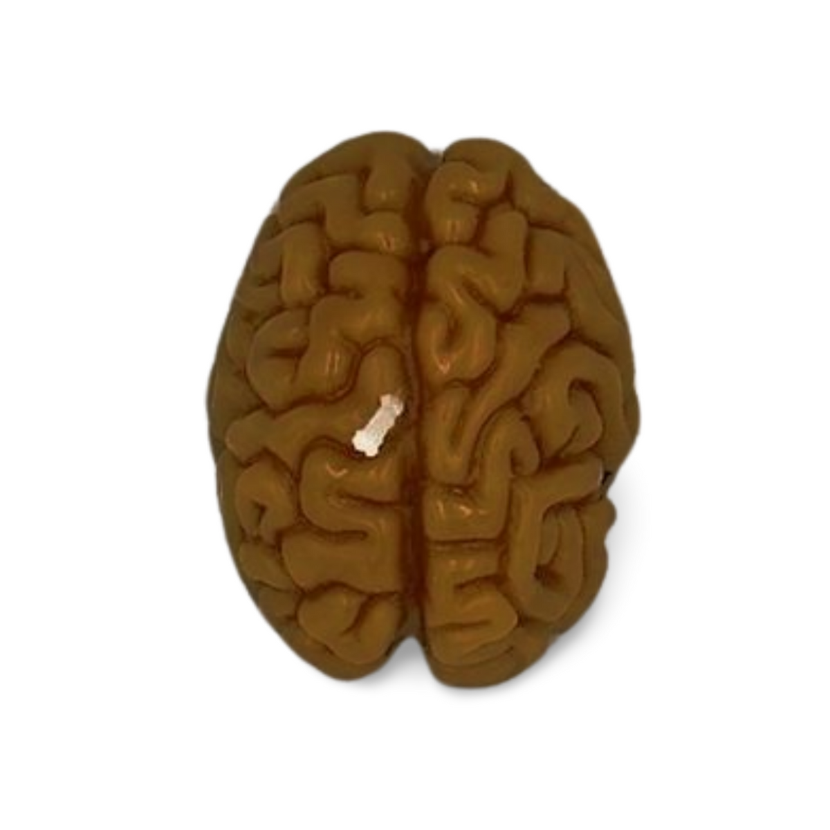 Small Brain Candle
