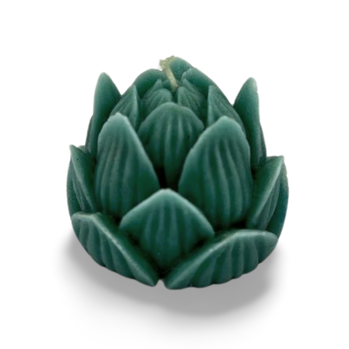 Small Lotus