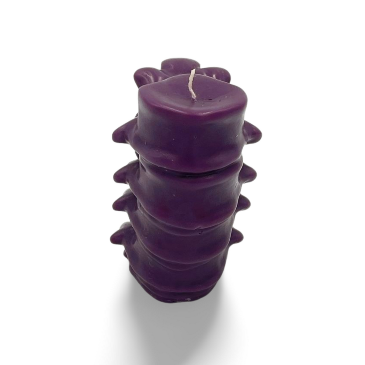 Spinal Cord Candle