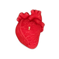 Small Anatomical Heart Candle