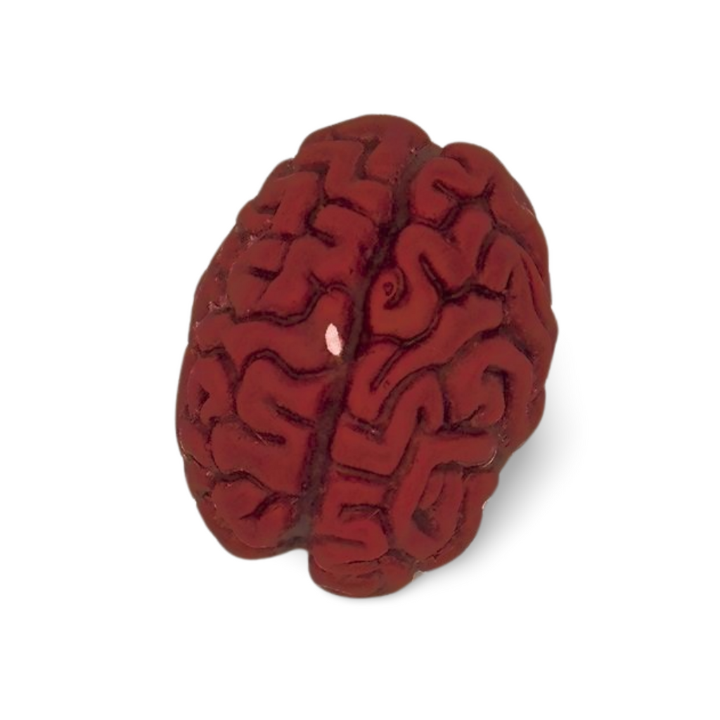 Small Brain
