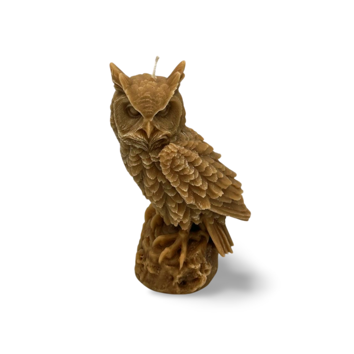 Large Owl