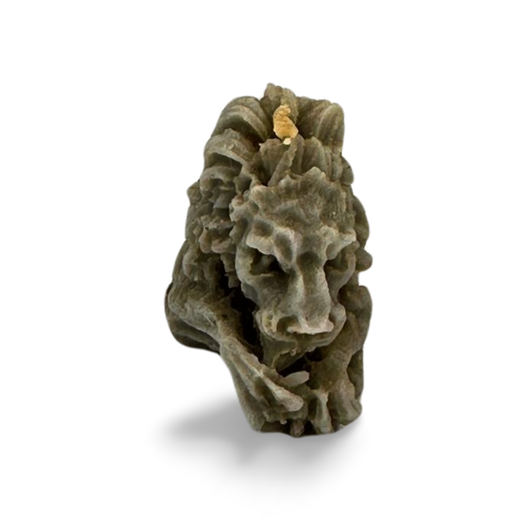 Small Lion
