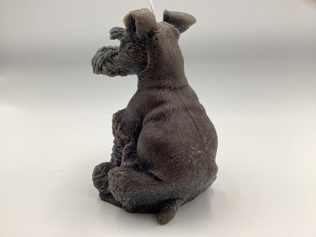 Schnauzer