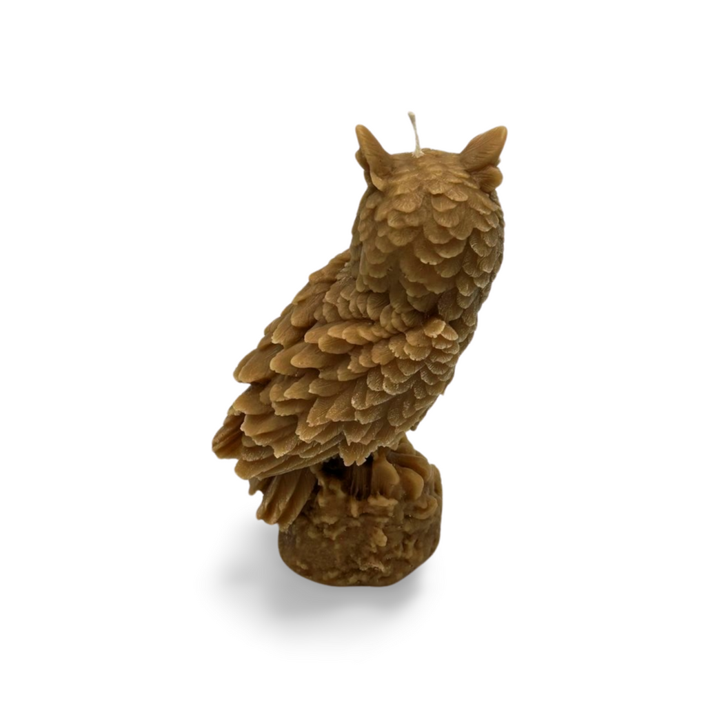 Large Owl