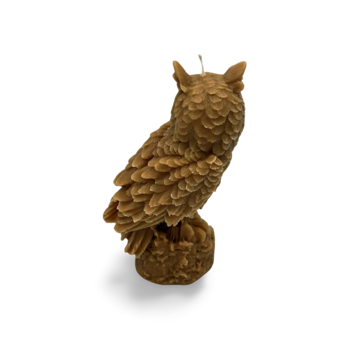 Large Owl