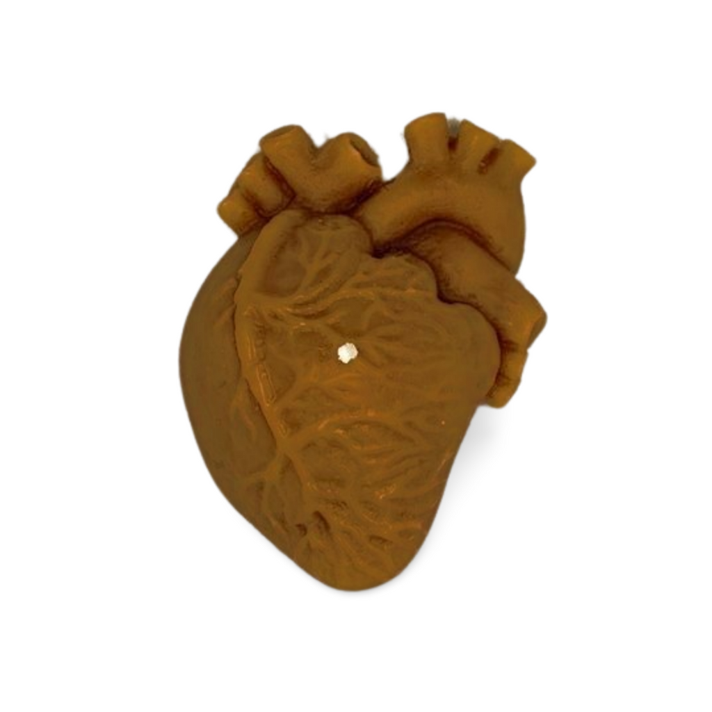 Small Anatomical Heart Candle