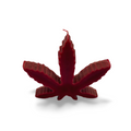 Cannabis Leaf
