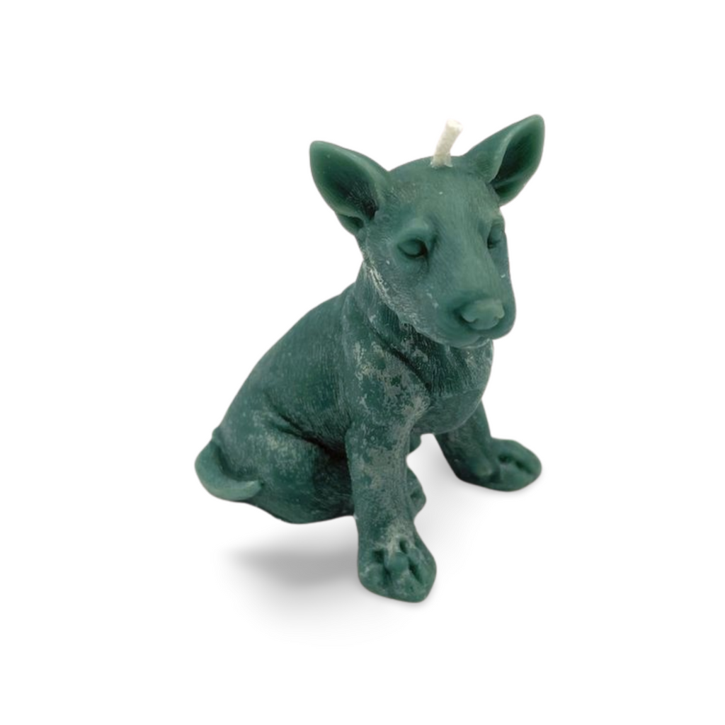 Bliksem the Dog