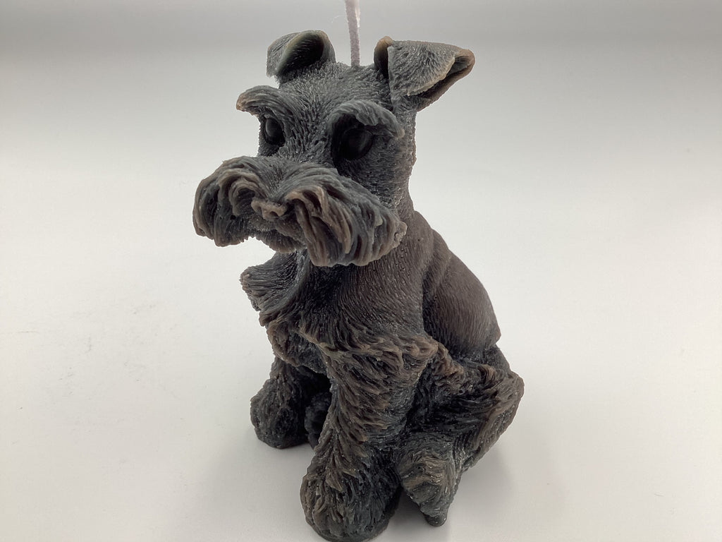 Schnauzer