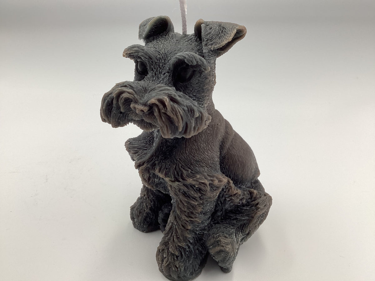 Schnauzer