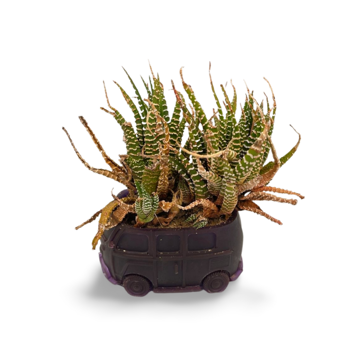Resin Kombi Candle/Plant Holder