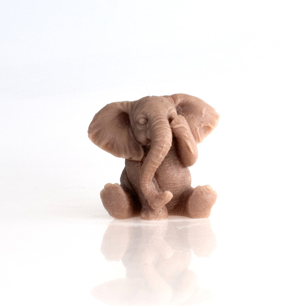 See no Evil Elephant