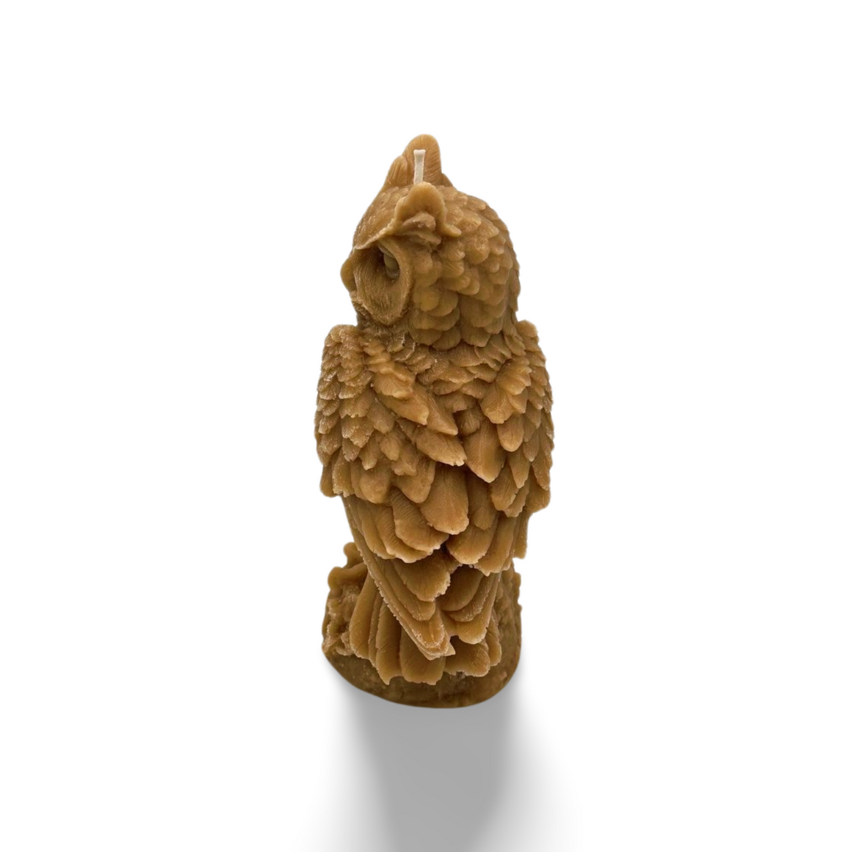 Large Owl
