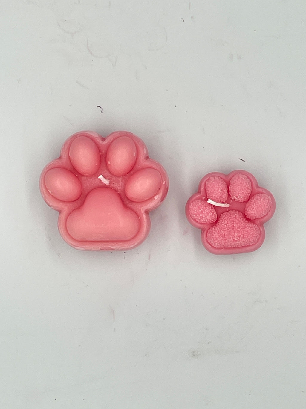 Large Penelope's Paw