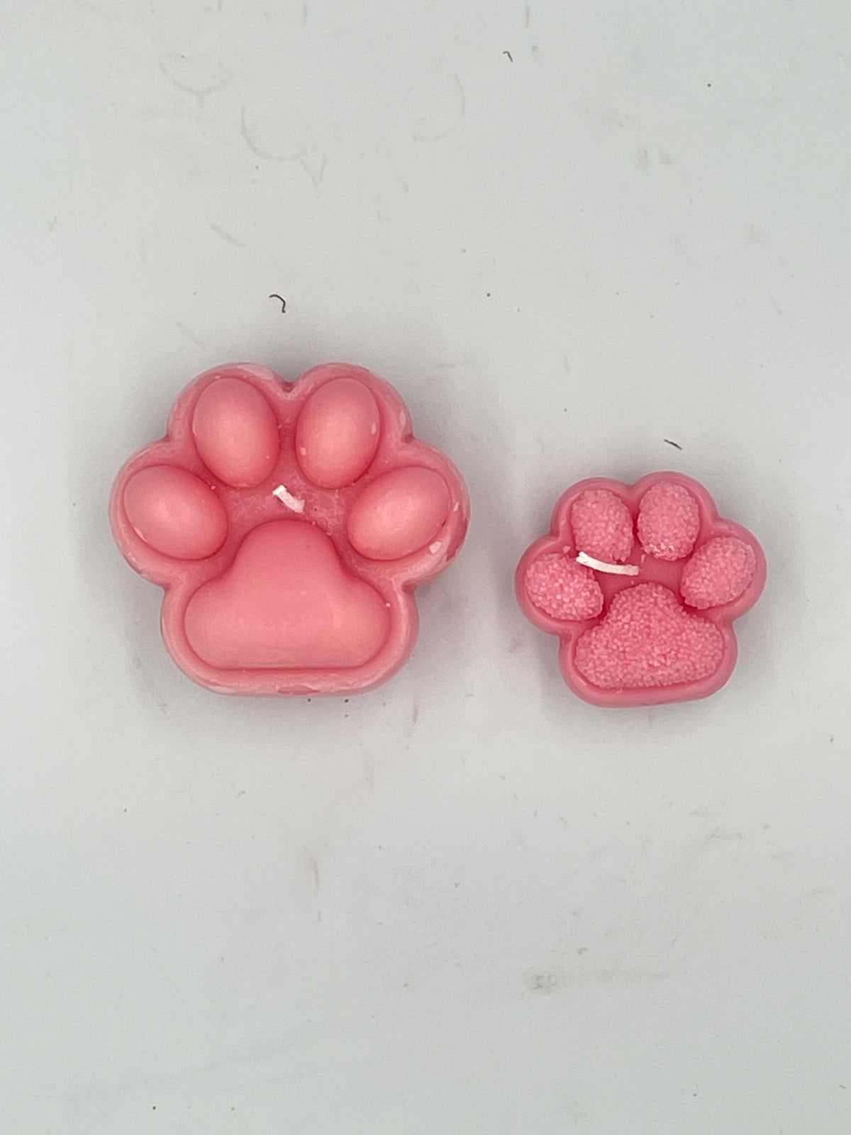 Large Penelope's Paw