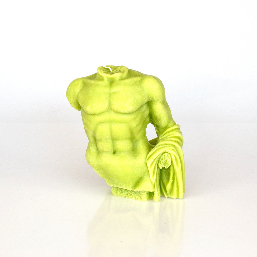 Male Torso