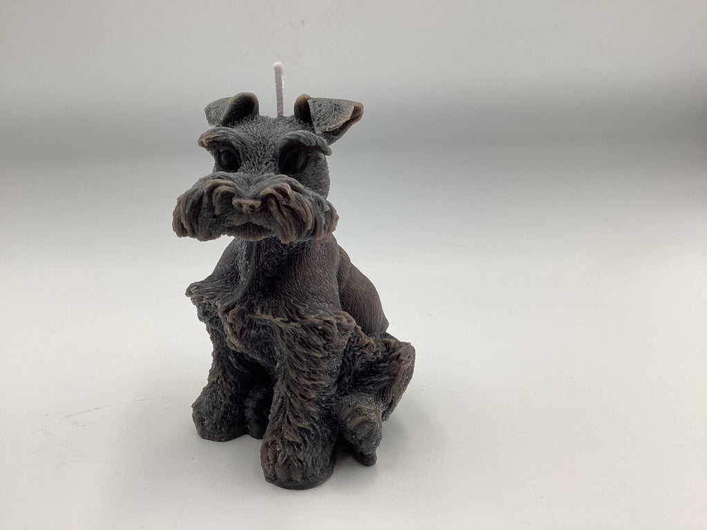Schnauzer