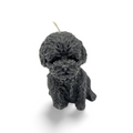 Molly the Mop Dog