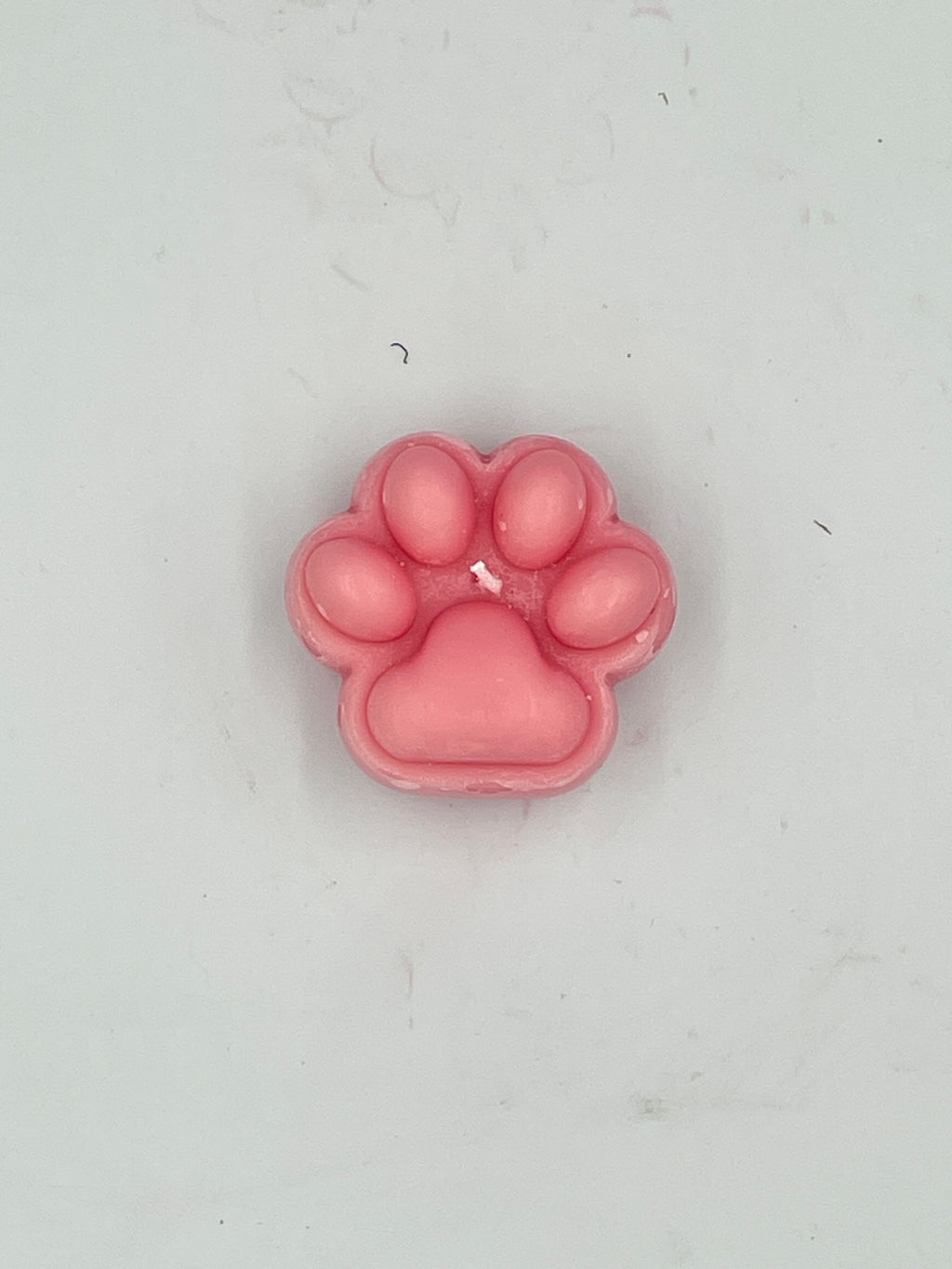 Large Penelope's Paw
