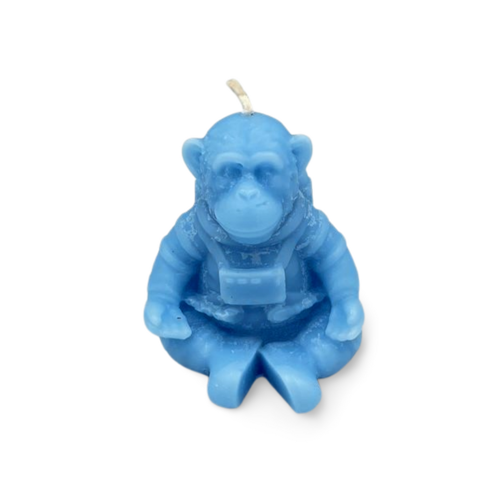 Space Monkey