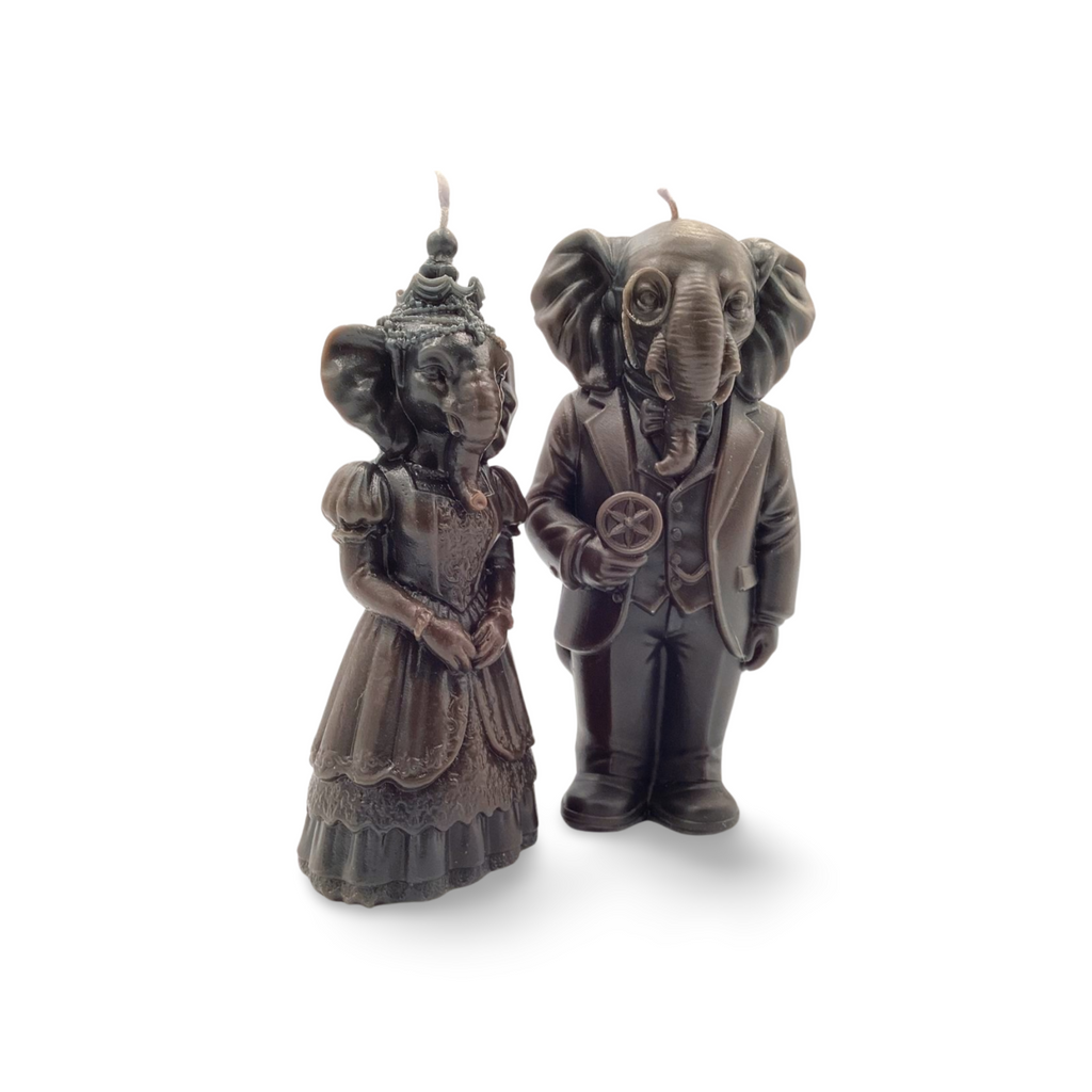 Dr. Elephant