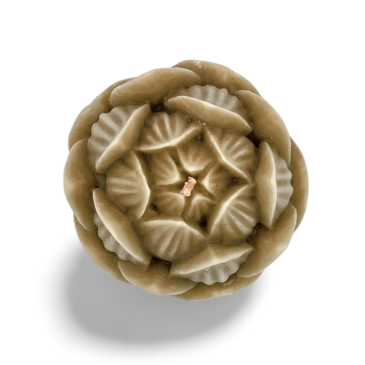 Large Lotus