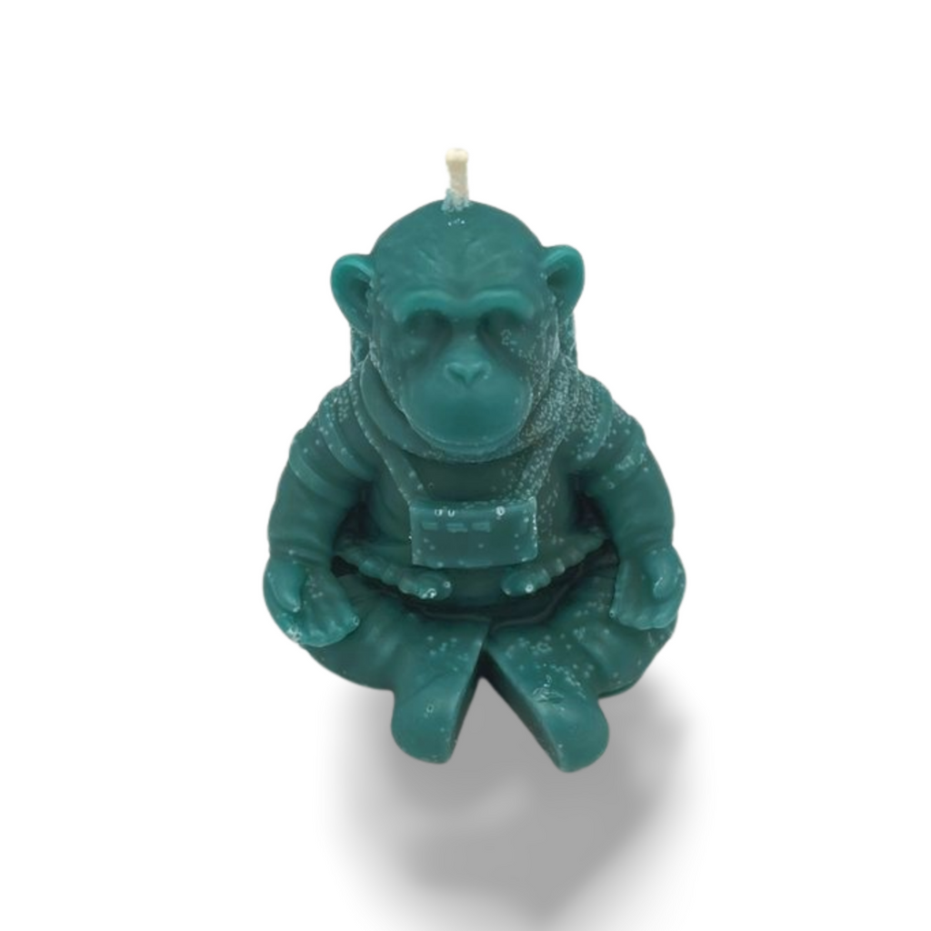 Space Monkey